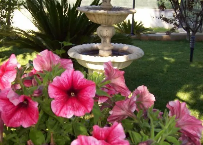 Lo Smeraldo カステッラーナ・グロッテ